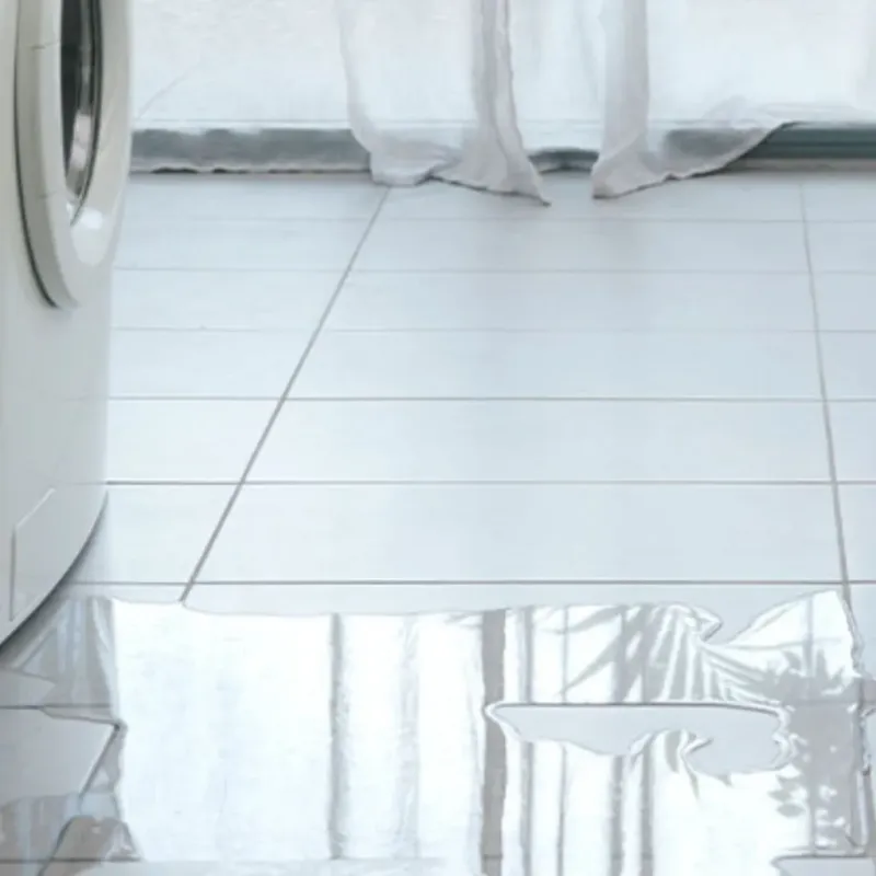 Appliance Leak Cleanup in Carroll County, IA