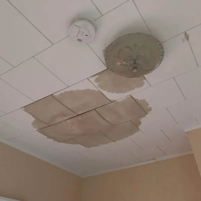 Ceiling Water Damage Repair in Carroll County, IA