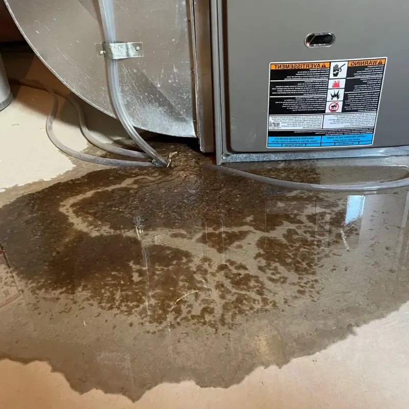 Pipe Burst and Leak Restoration in Carroll County, IA