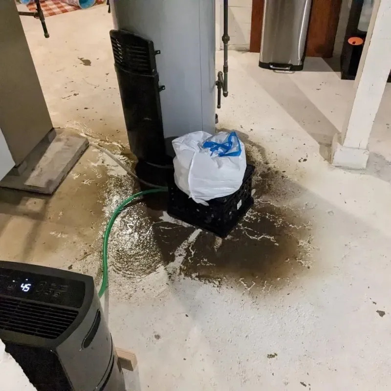 Sewage Backup Cleanup Service in Carroll County, IA